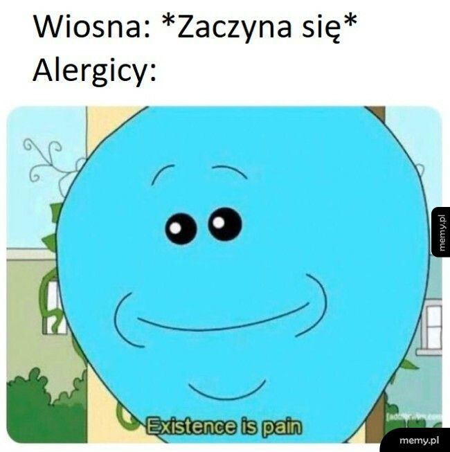 Alergicy