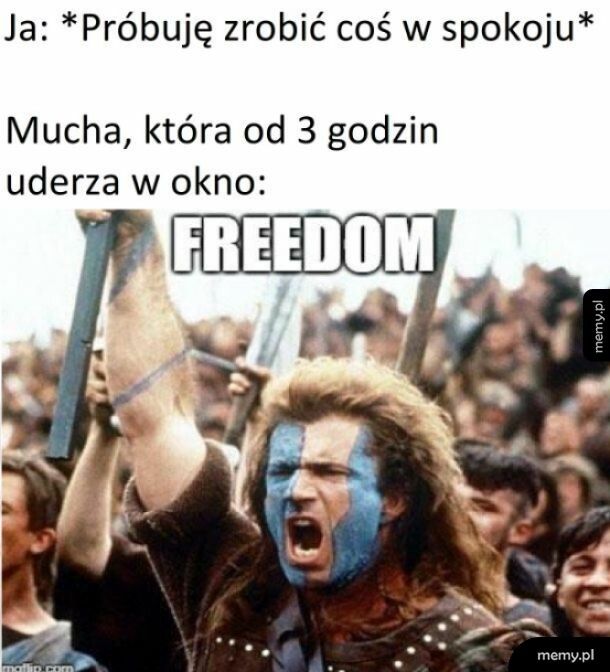 Wolność!!!