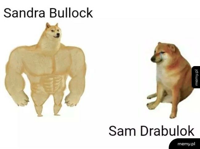 Sam Drabulok