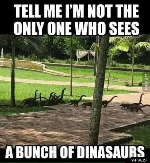 Tez widzicie dinozaury?
