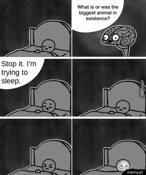 Mózg, gdy chcę spać
