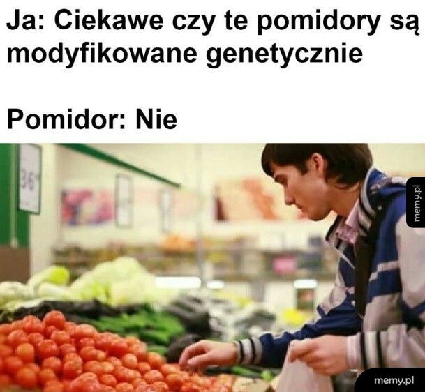 Pomidory GMO