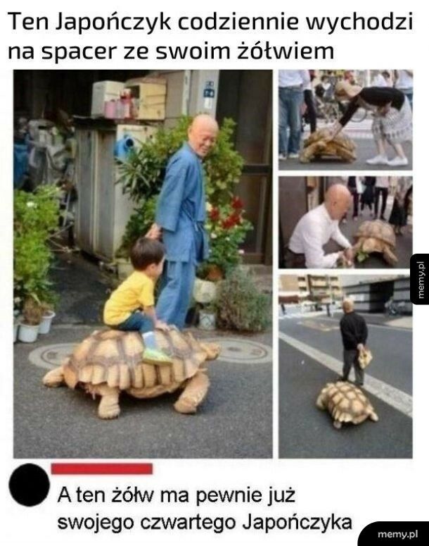 Spacer z żółwiem