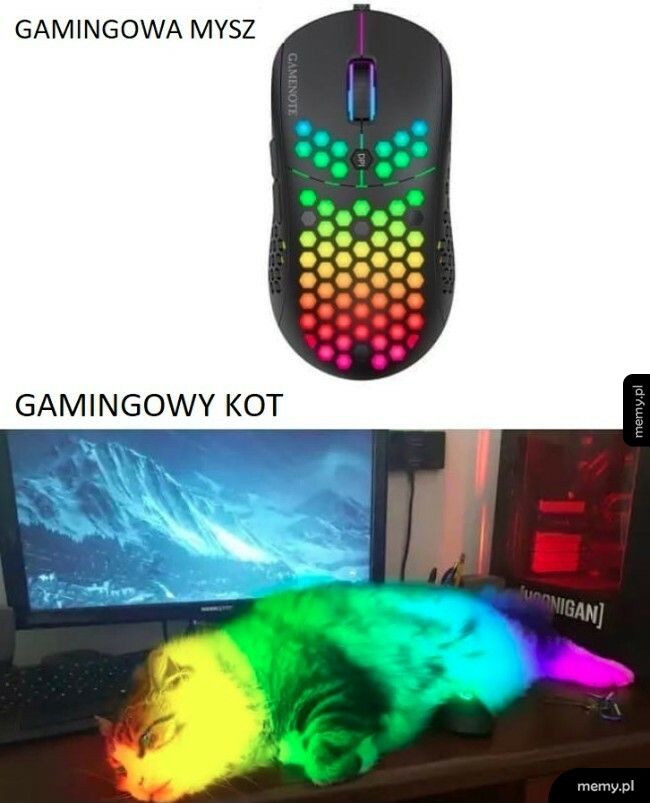 Gamingowy kot