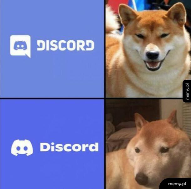 Nowy Discord
