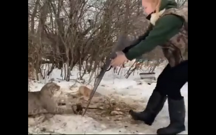 nerwy ze stali
