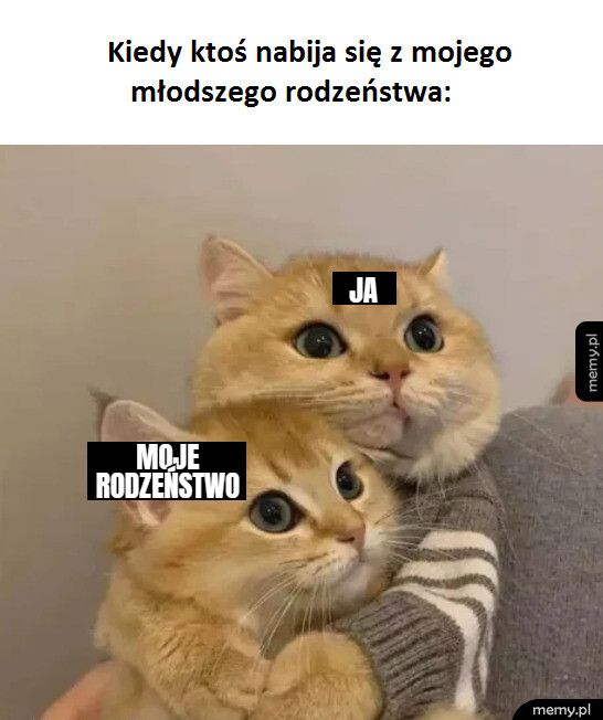 ja moje 