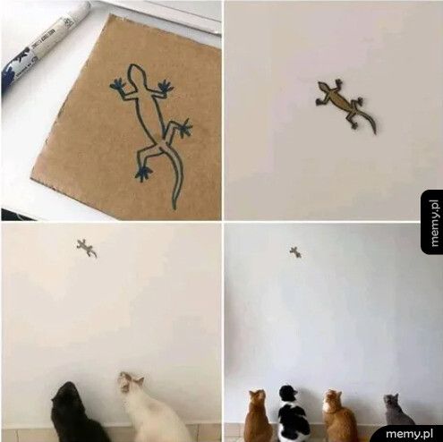 Metoda na koty