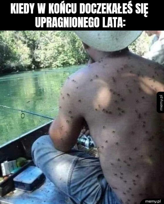 I zostajesz zeżarty przez komary :D