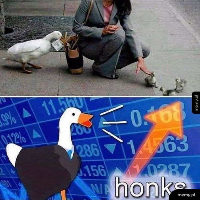 Honks