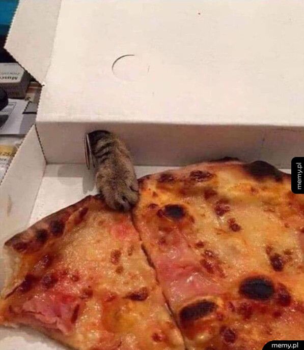 Teraz już wiadomo, dlaczego w pudełku od pizzy są dziury