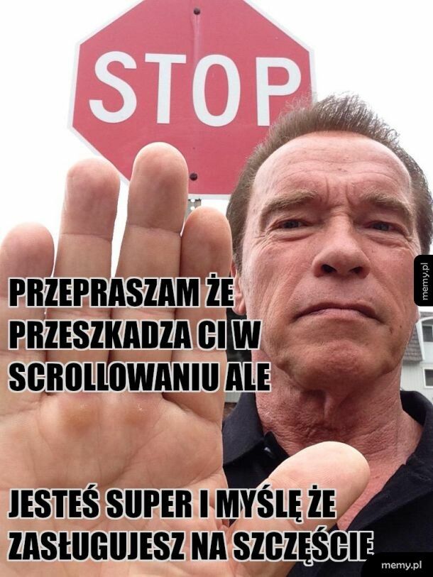 Arnold mówi stop