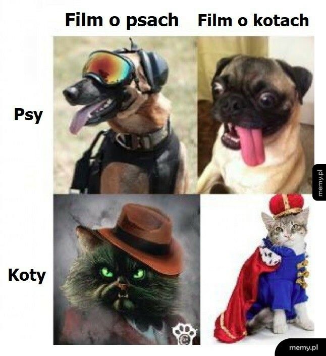 Filmy o psach i kotach