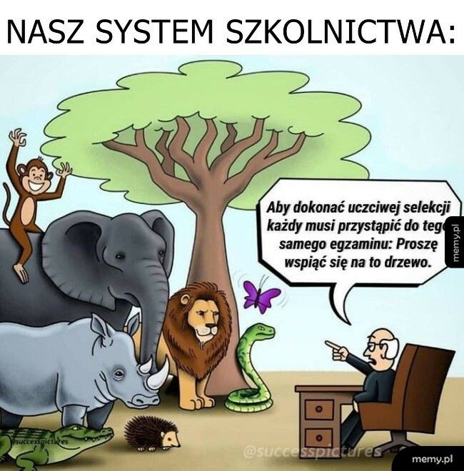 System szkolnictwa