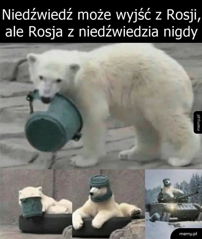 Rosyjski niedźwiedź