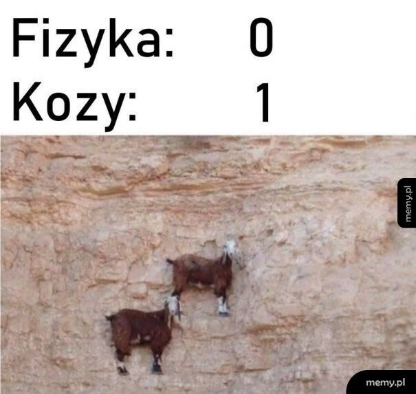 Fizyka vs. Kozy