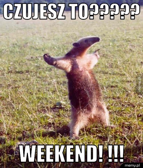 Czujesz to????? WEEKEND! !!!