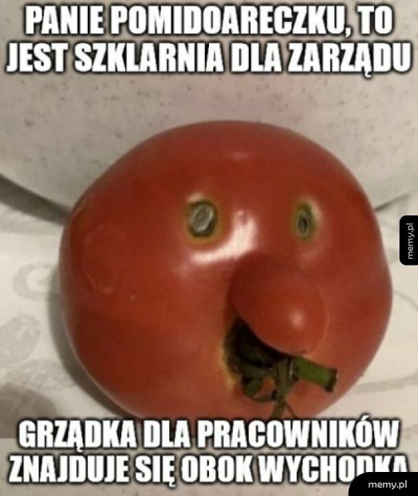 Panie pomidoreczku