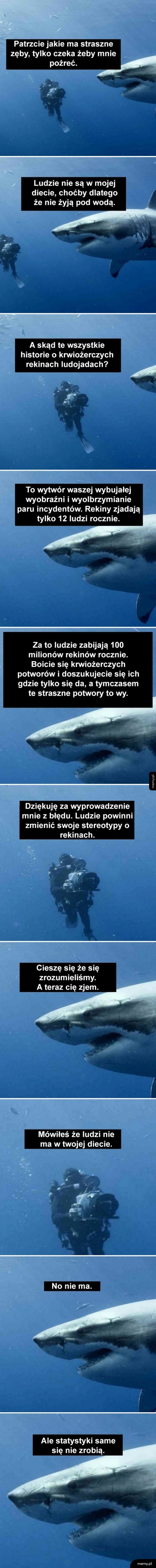 Prawda o rekinach