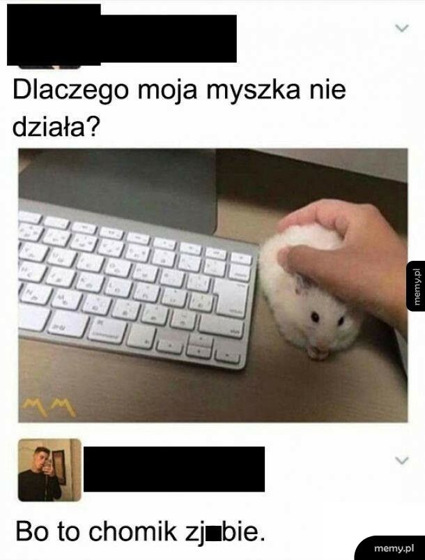Dlaczego myszka nie działa