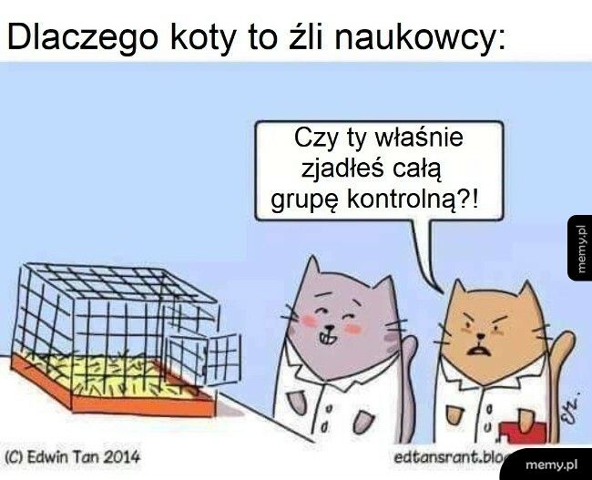 Koty jako naukowcy