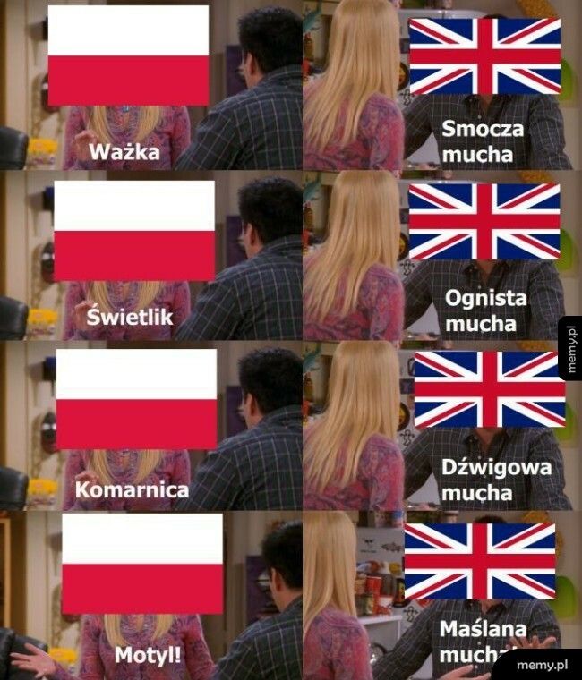 Polski vs. Angielski