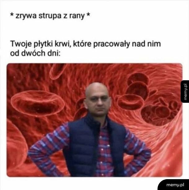 Chamstwom w państwie