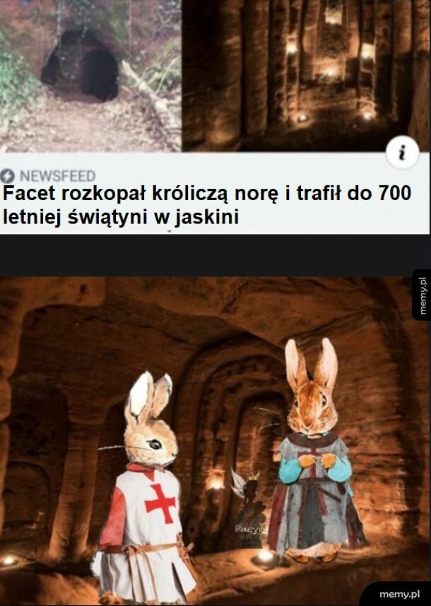 Króliki w jaskini