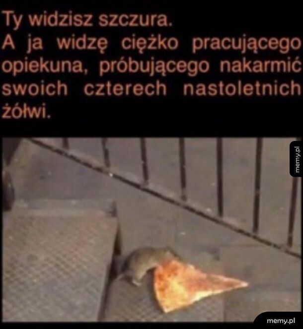 Żółwie ninja