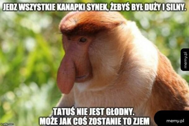 Jedzonko