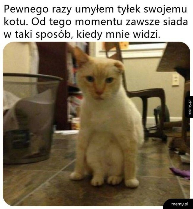 Nie zapomniał