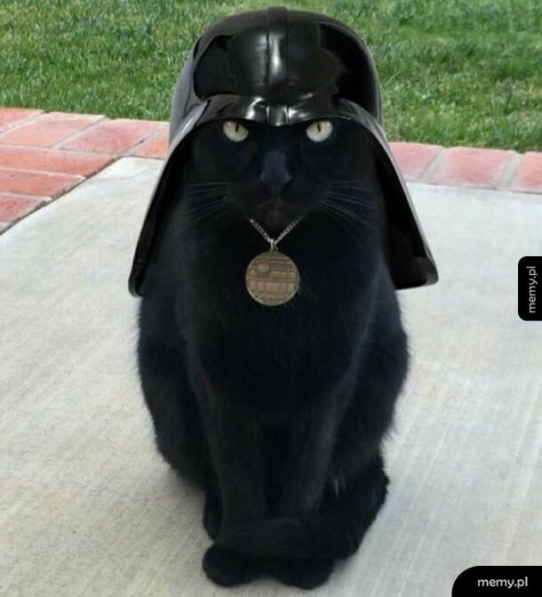 Cath Vader