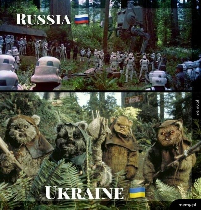 Obrona Ukrainy