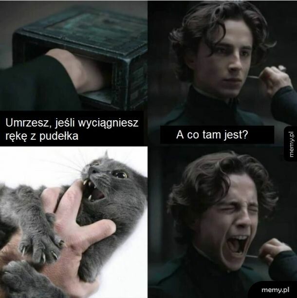 Pudełko grozi zgubą