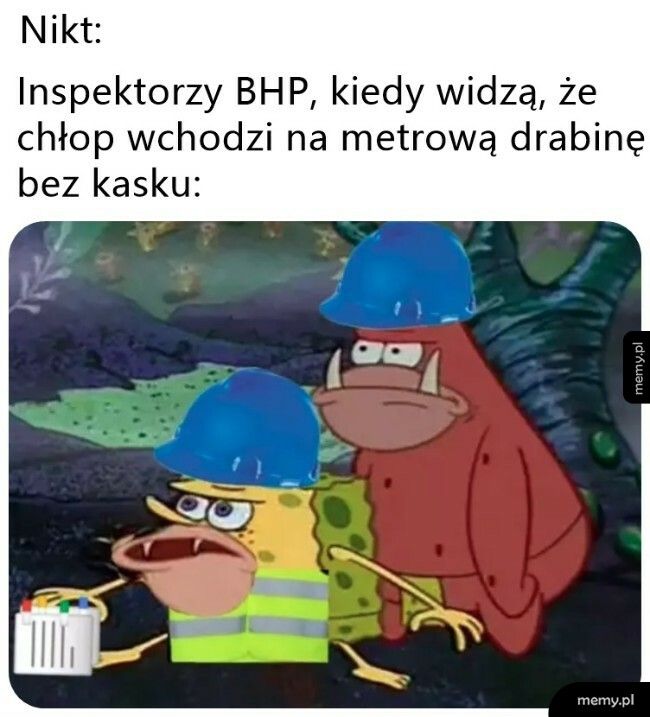 Inspektorzy BHP