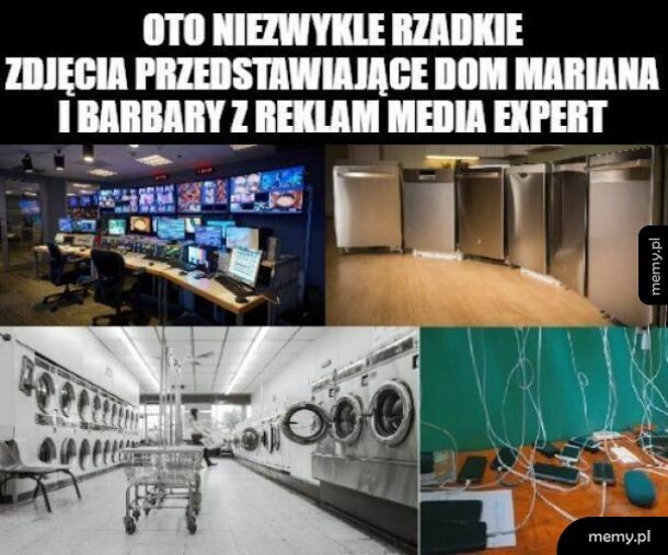 Media Expert