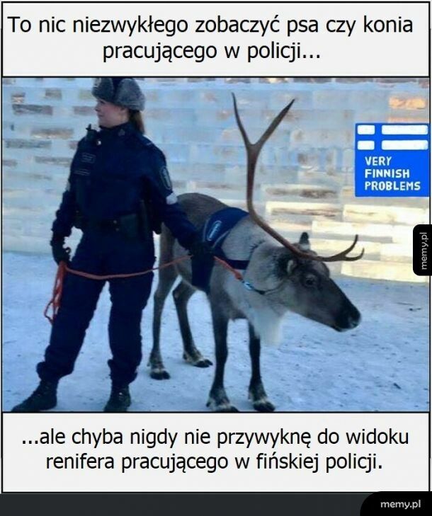 Normalka na północy