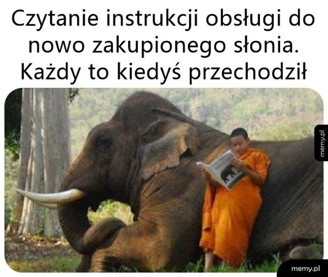 Instrukcja do słonia