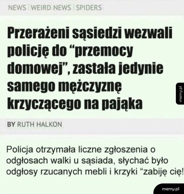 Przemoc domowa