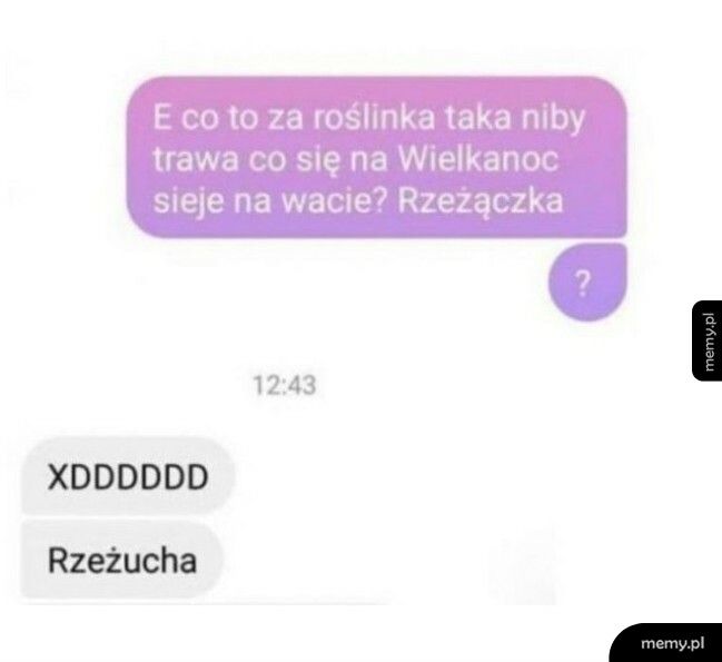 Roślinka wielkanocna