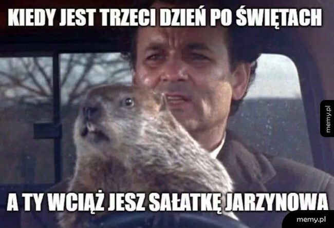 Istny Dzień Świstaka