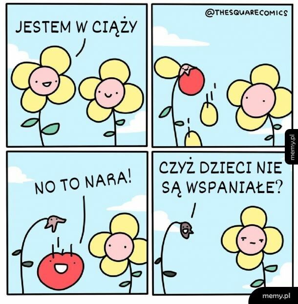 Wspaniałe!