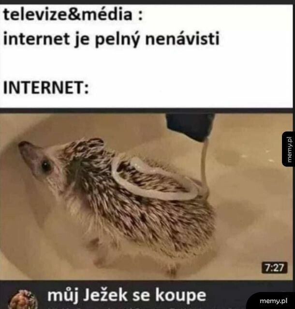 Internet ♥