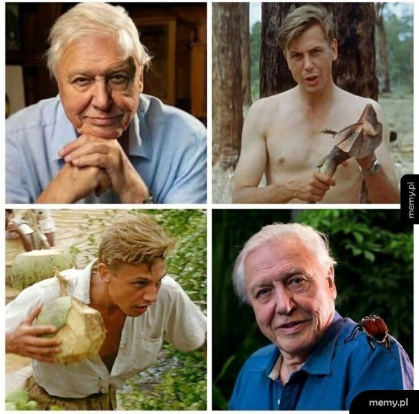 David Attenborough obchodzi dziś 96. urodziny