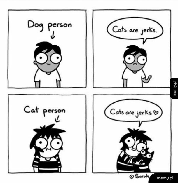 Koty