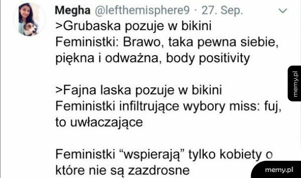 Feministki i ich wsparcie