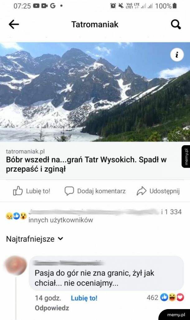 Bóbr z tatr