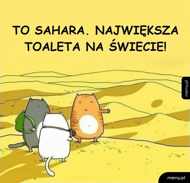 Kitku na wycieczce