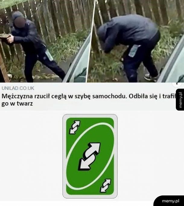 Szybka karma