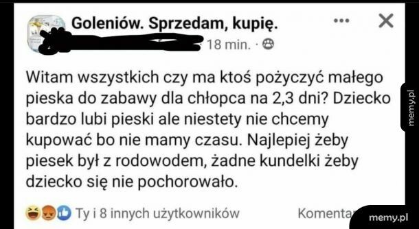 Co za żenada